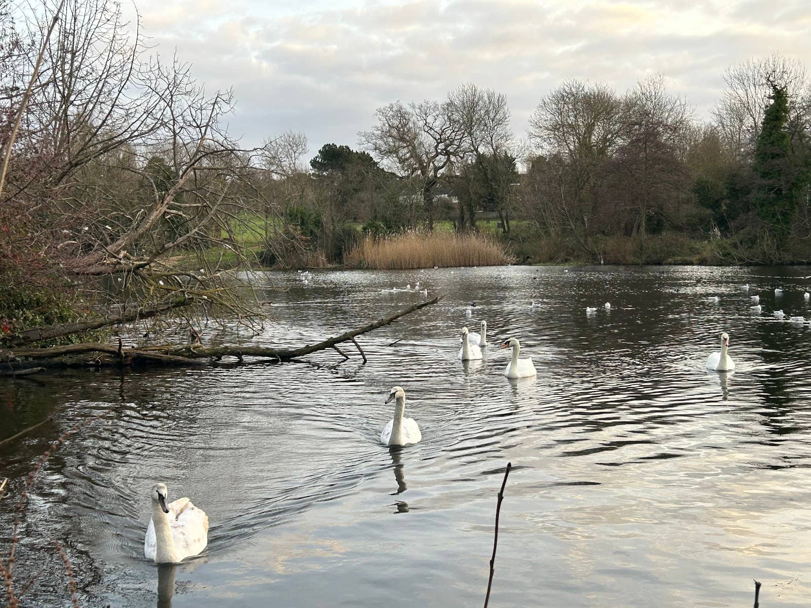 Children's Playground