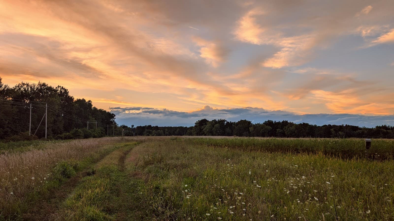 Northampton Meadows & Oxbow - Image 1