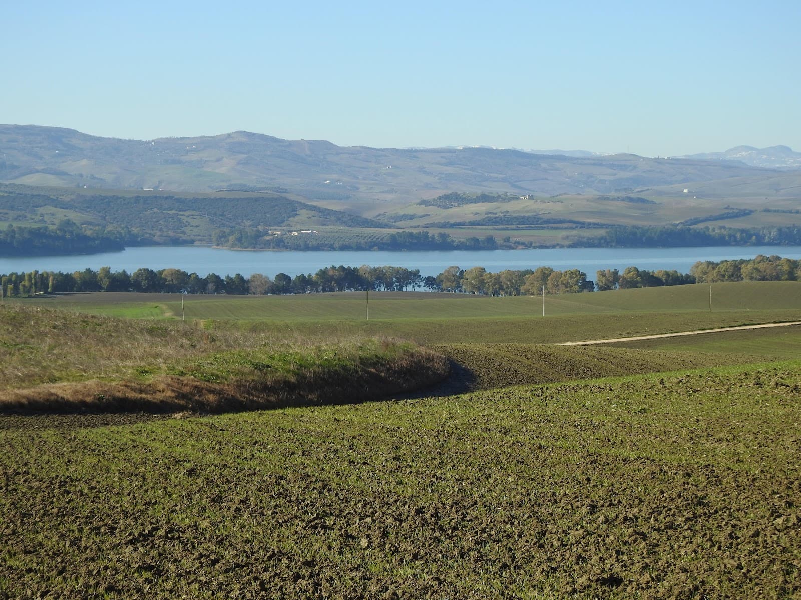 Oasi WWF Lago di San Giuliano - Image 1