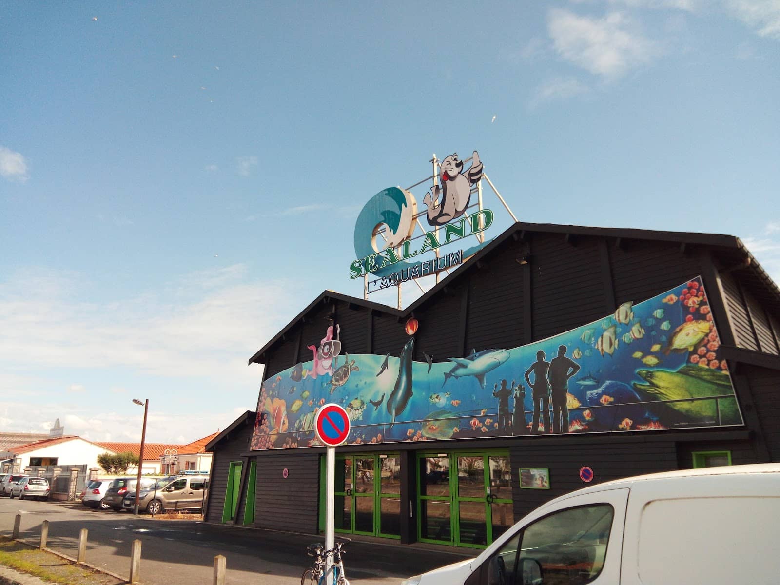 Intriguing Octopus Displays