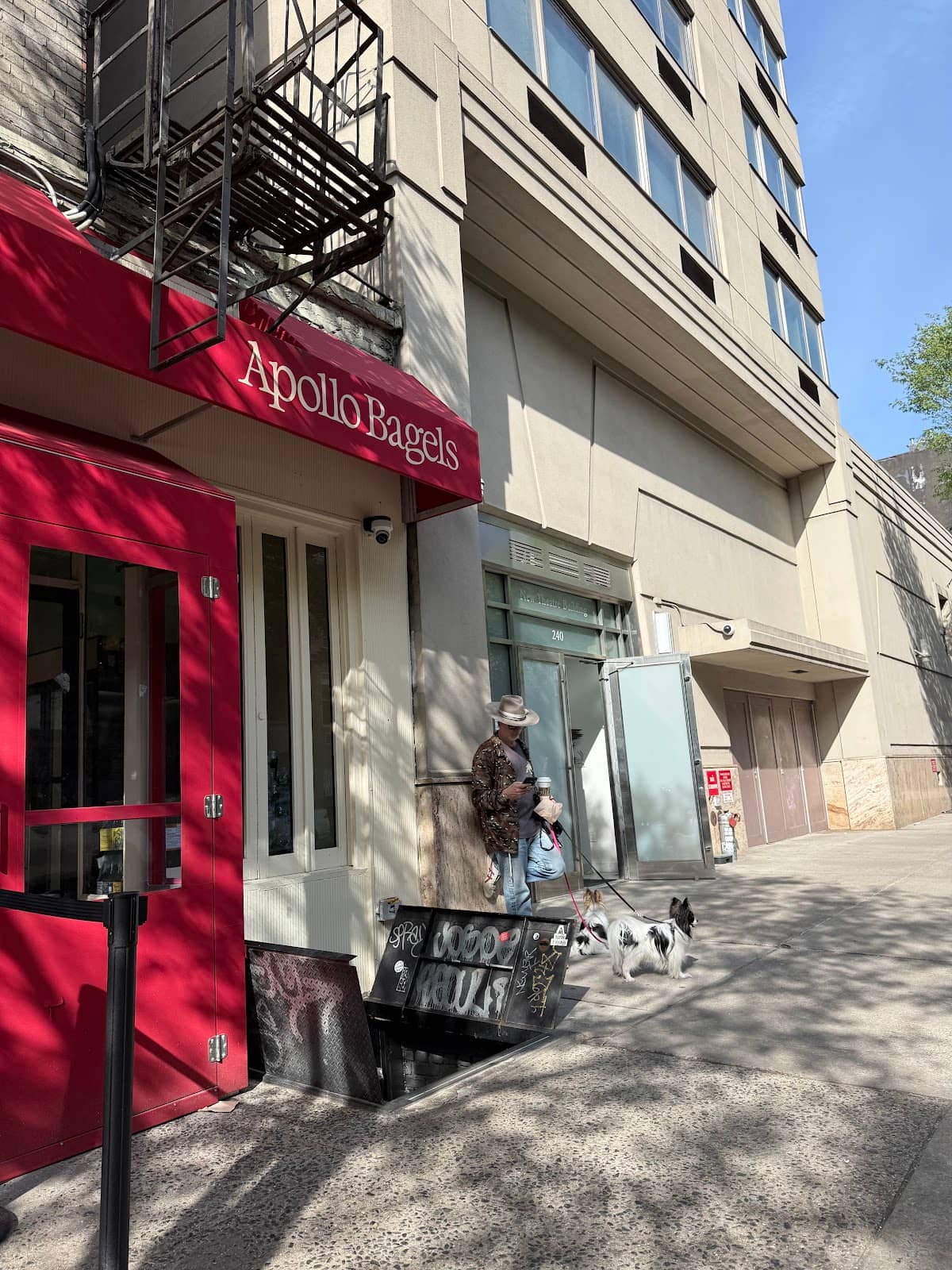 Butter and Jam Bagel