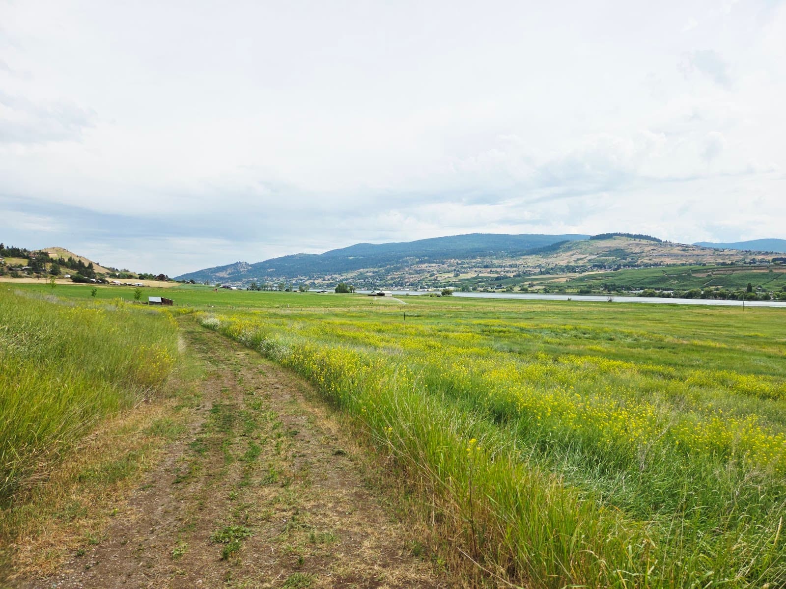 Swan Lake Nature Reserve - Image 1