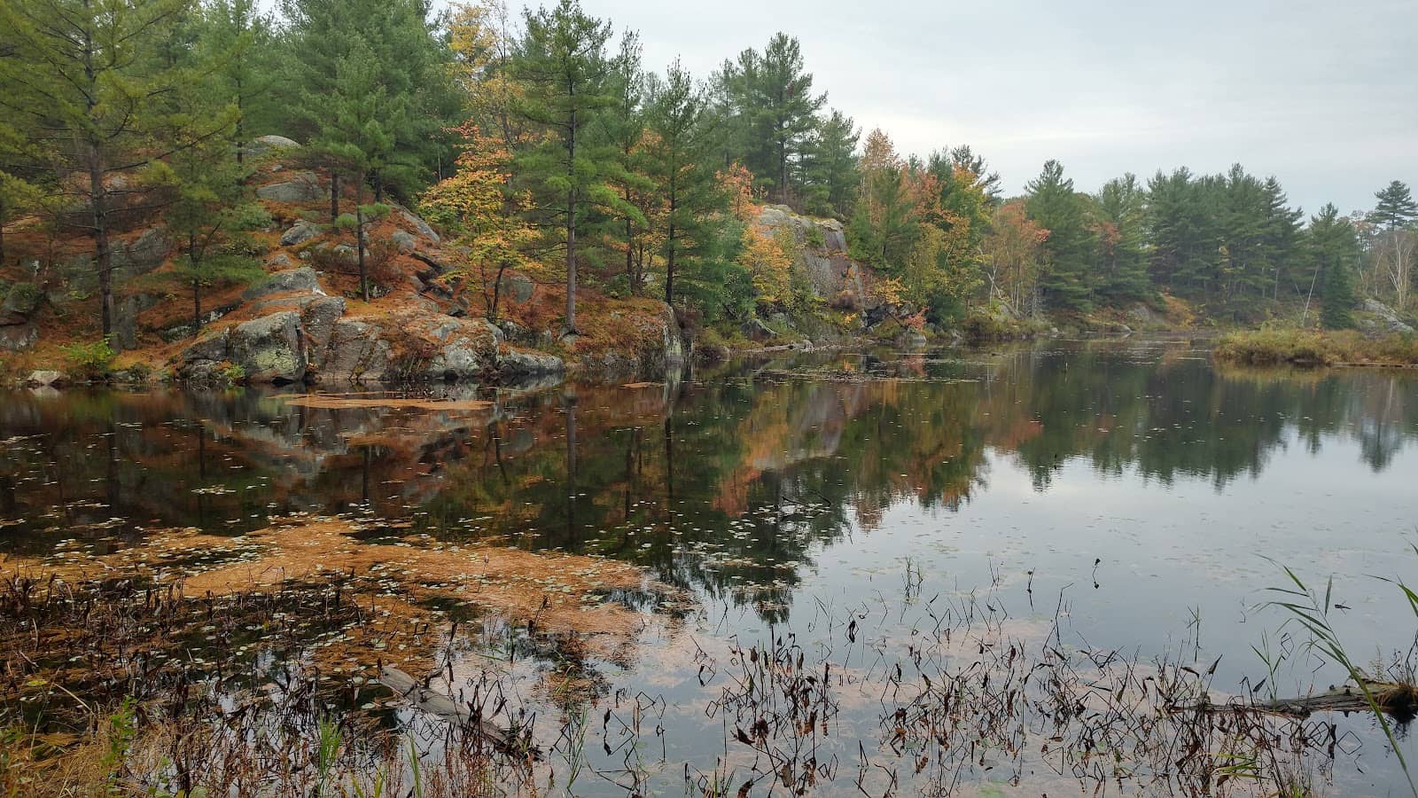 Scenic Hiking Trails