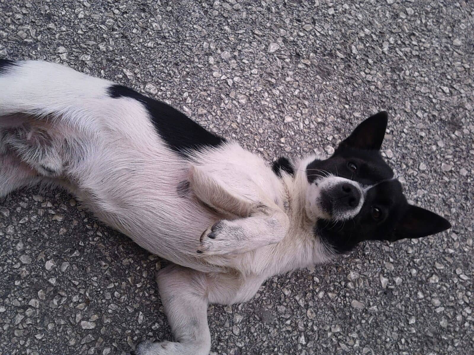 Architectural Grandeur