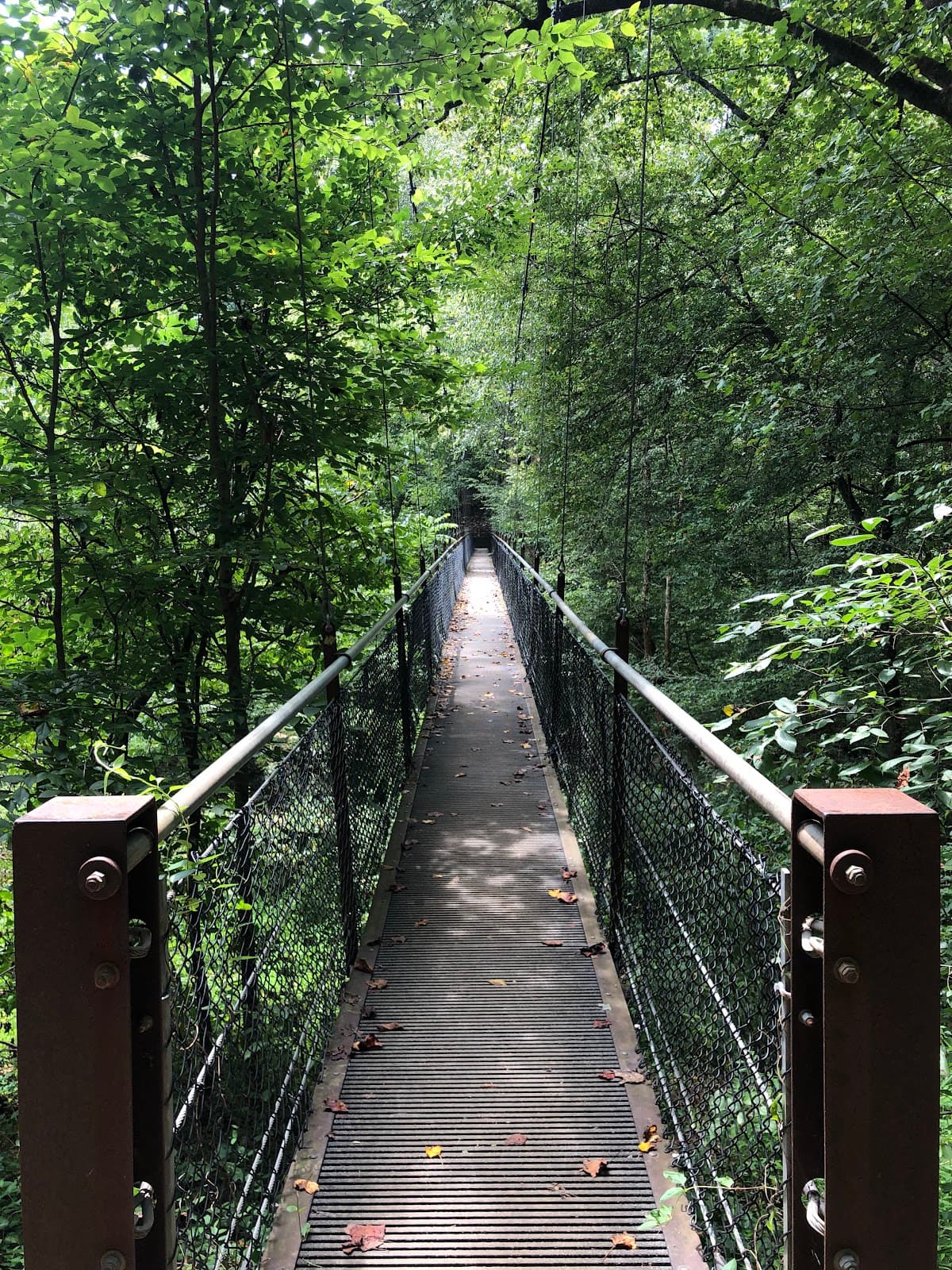 Lullwater Preserve - Image 1