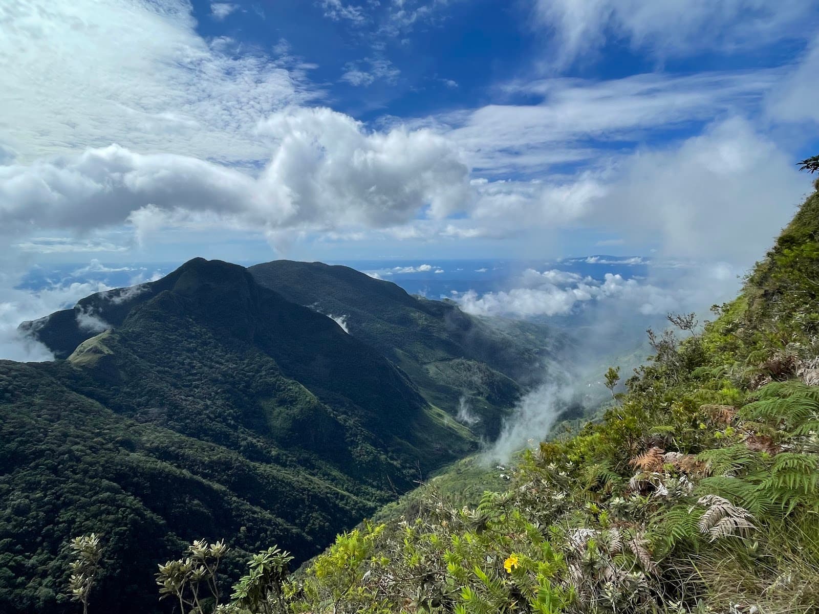 Horton Plains National Park - Image 1