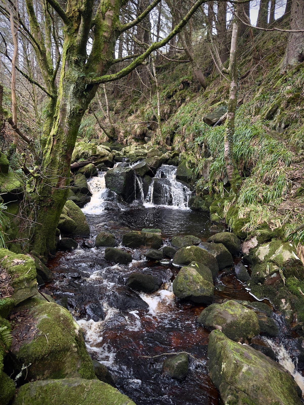 Glencree Valley & German War Cemetery - Image 1
