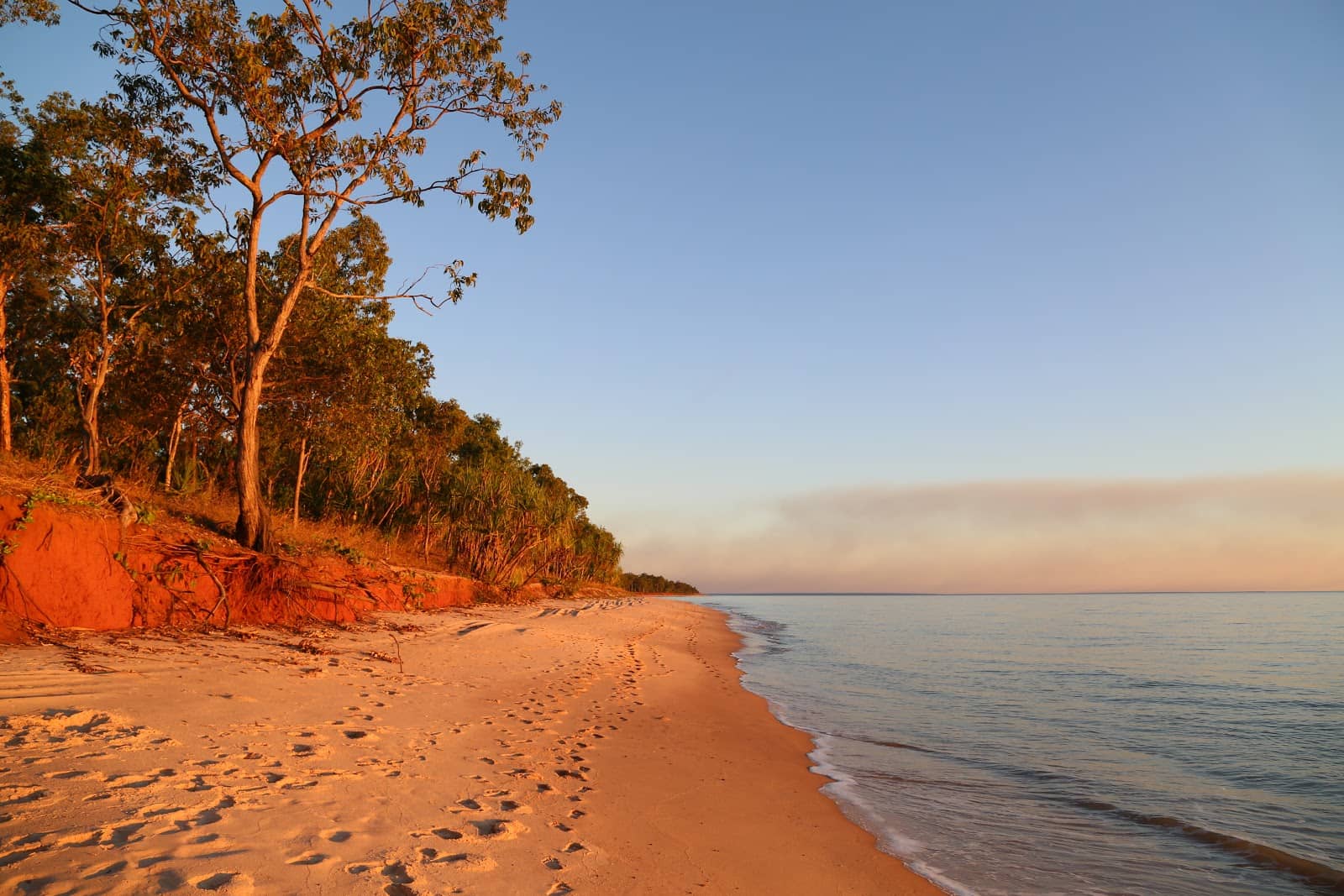 Artistic Environment