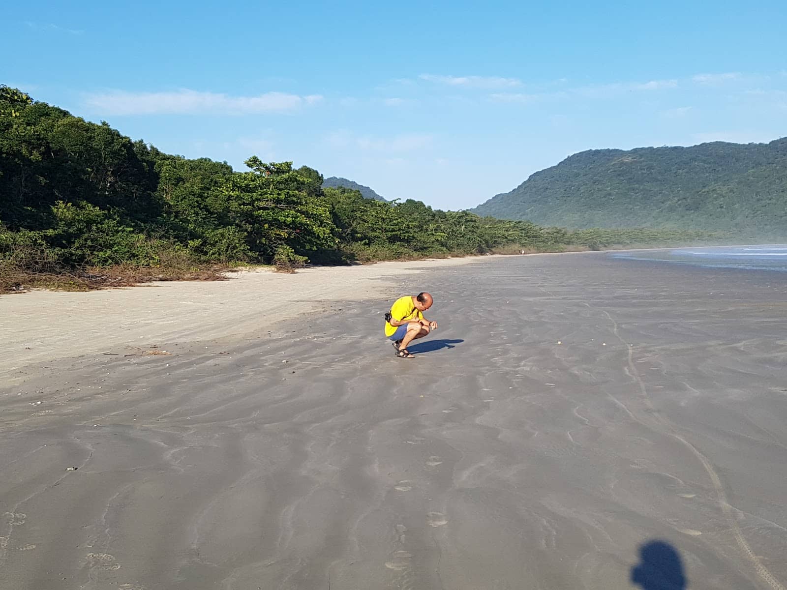 Atlantic Forest Trails