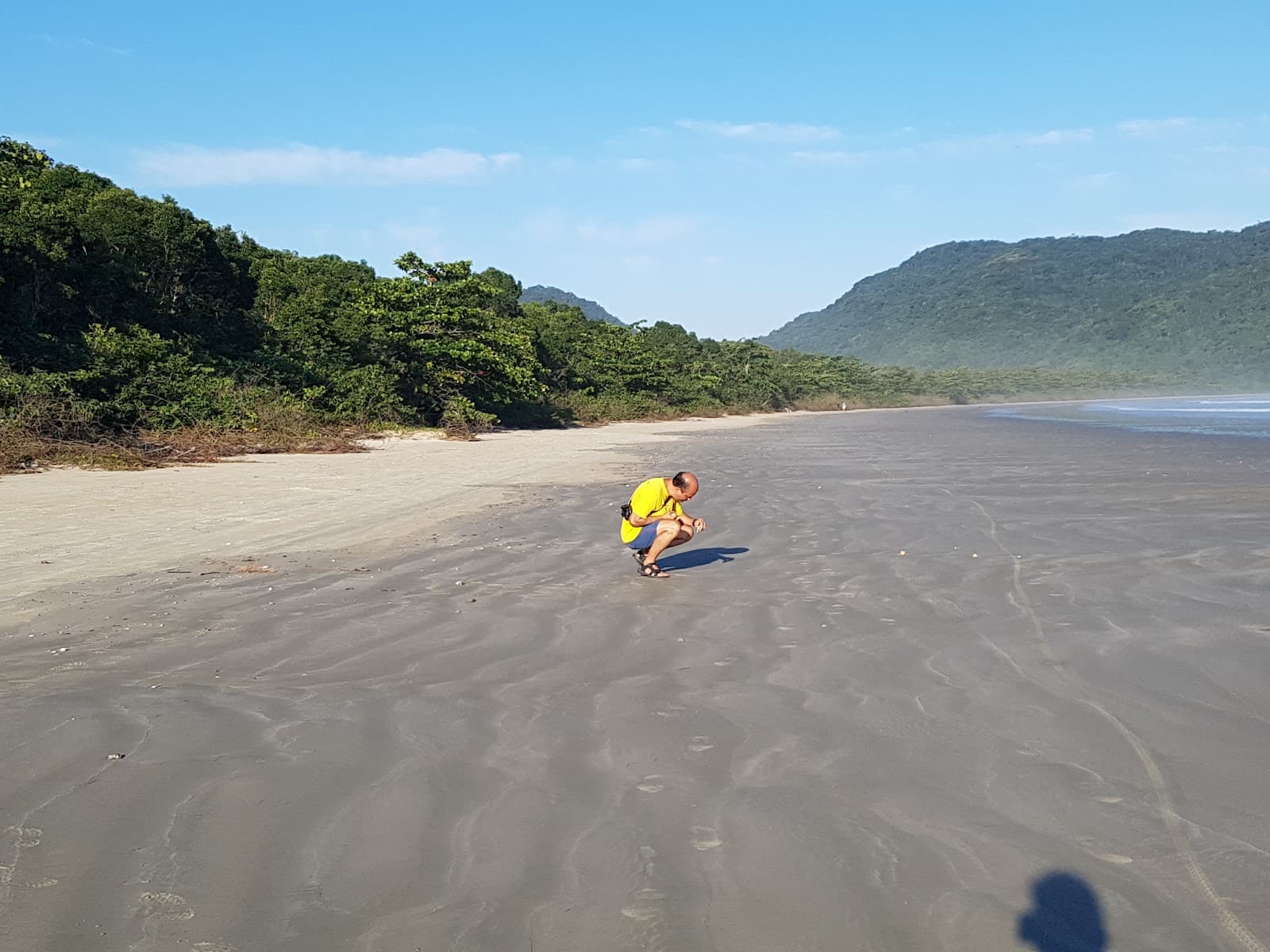 Parque Estadual da Serra do Mar Núcleo Picinguaba - Image 1