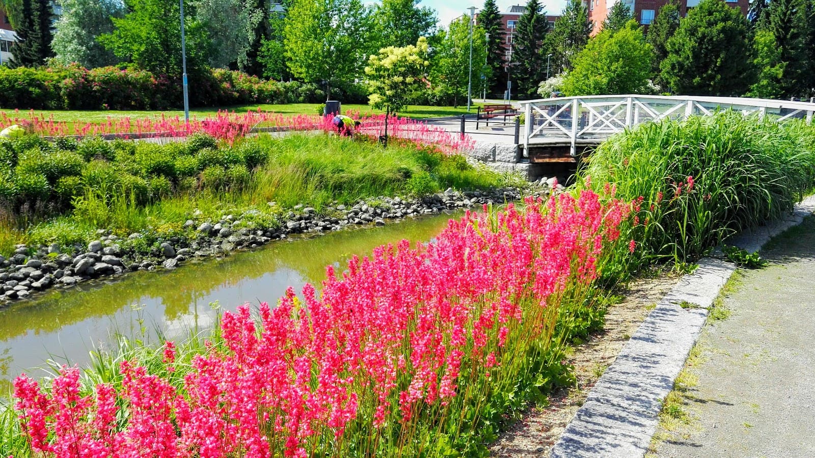 Hapelähteenpuisto - Image 1