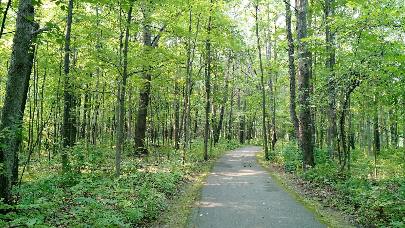 Independence Oaks County Park - Image 1