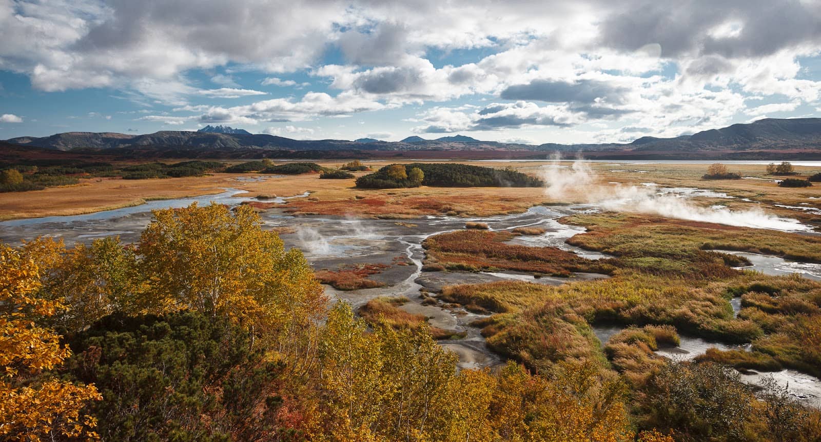 Geothermal Vents
