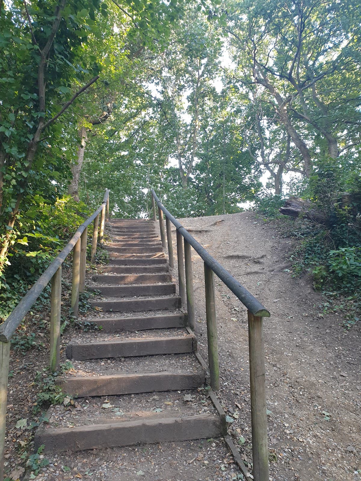 Winchester Water Meadows - Image 1
