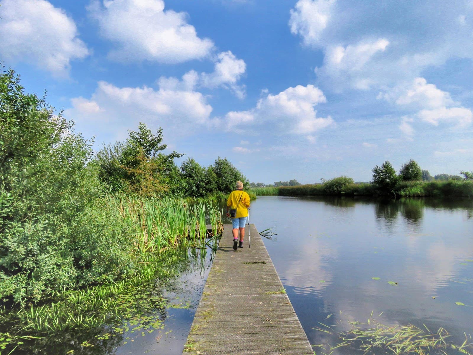 De Alde Feanen National Park - Image 1