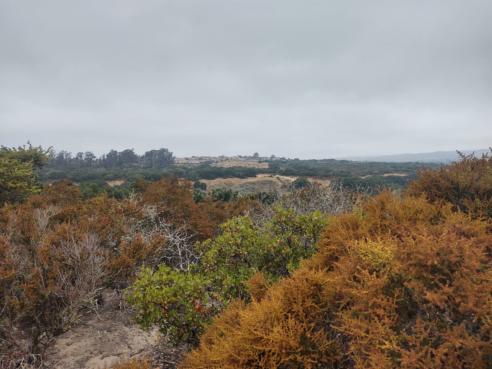 Lompoc Valley Botanic & Art Garden - Image 1