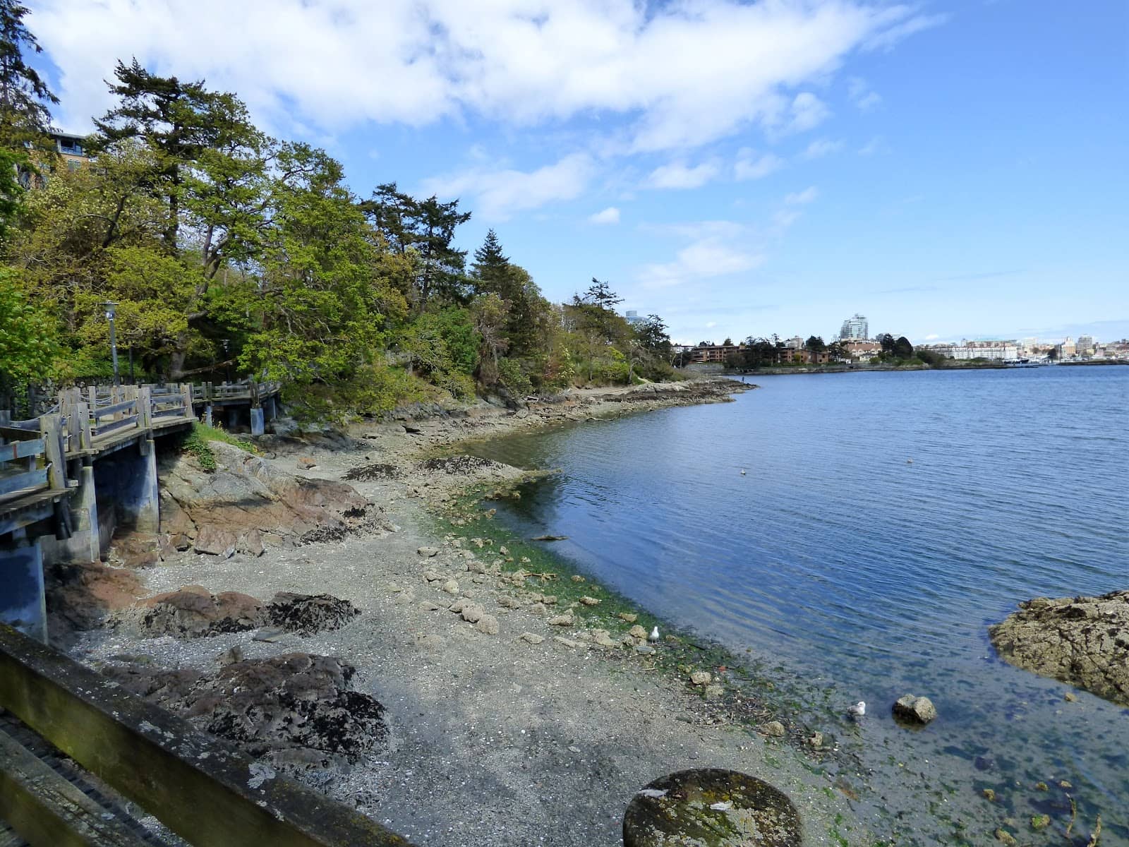 Migratory Bird Sanctuary