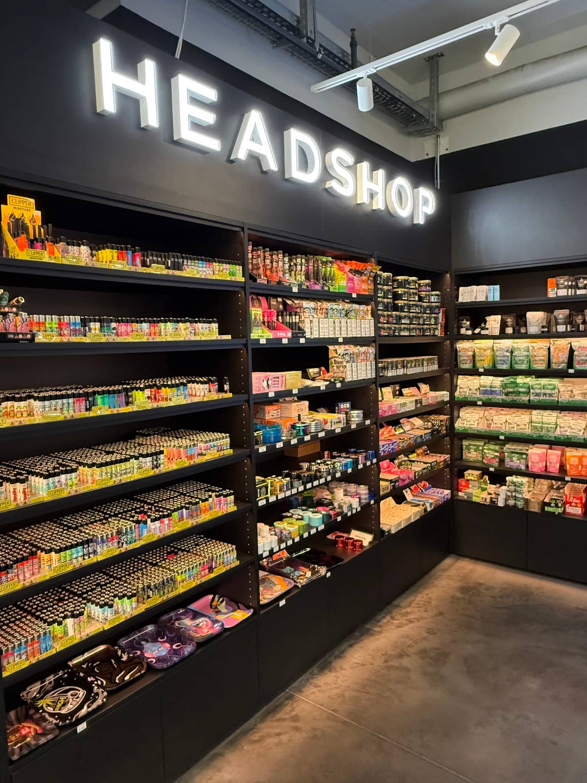 Rhine Falls Excursion