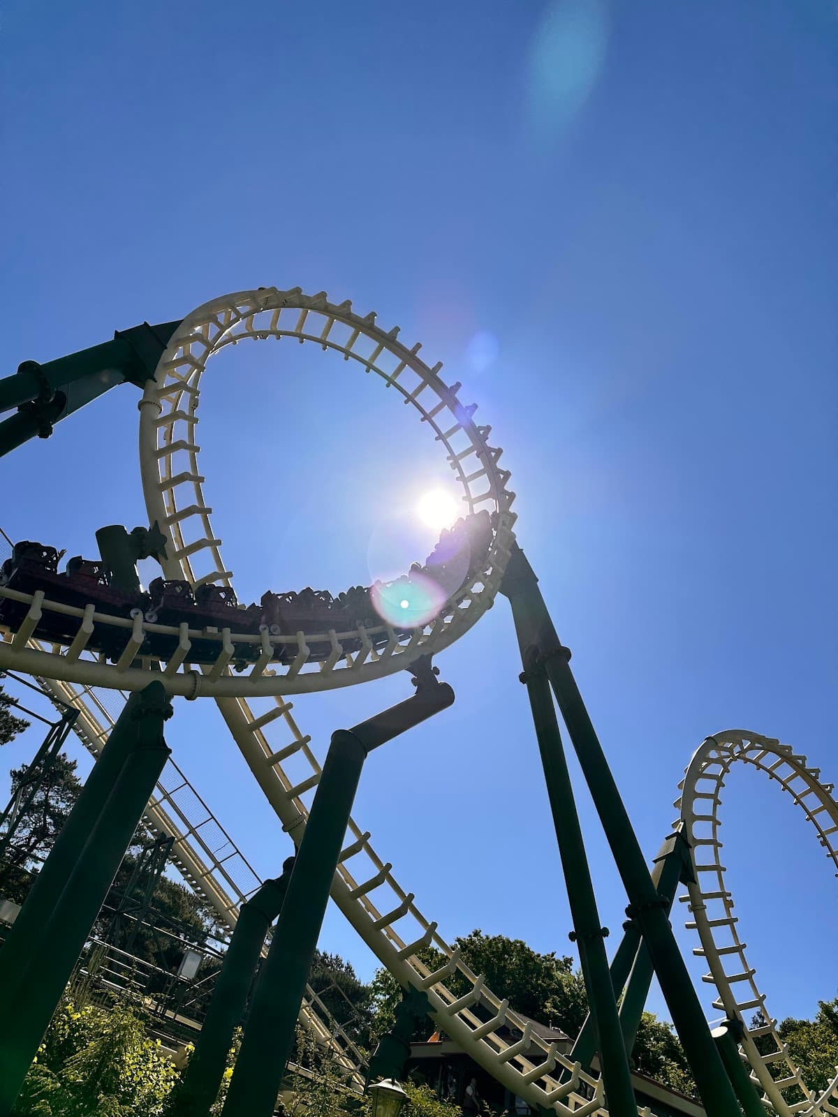 Python Efteling - Image 1