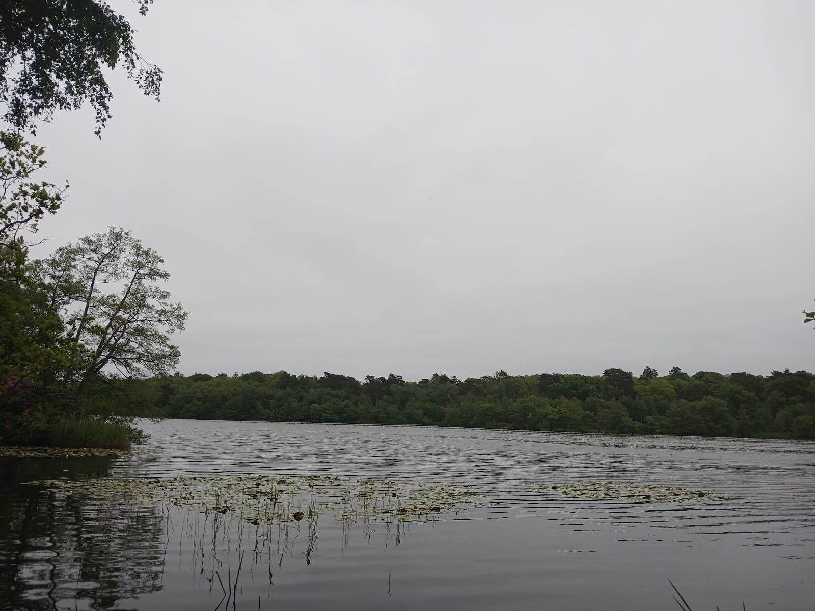 Fritton Lake - Image 1