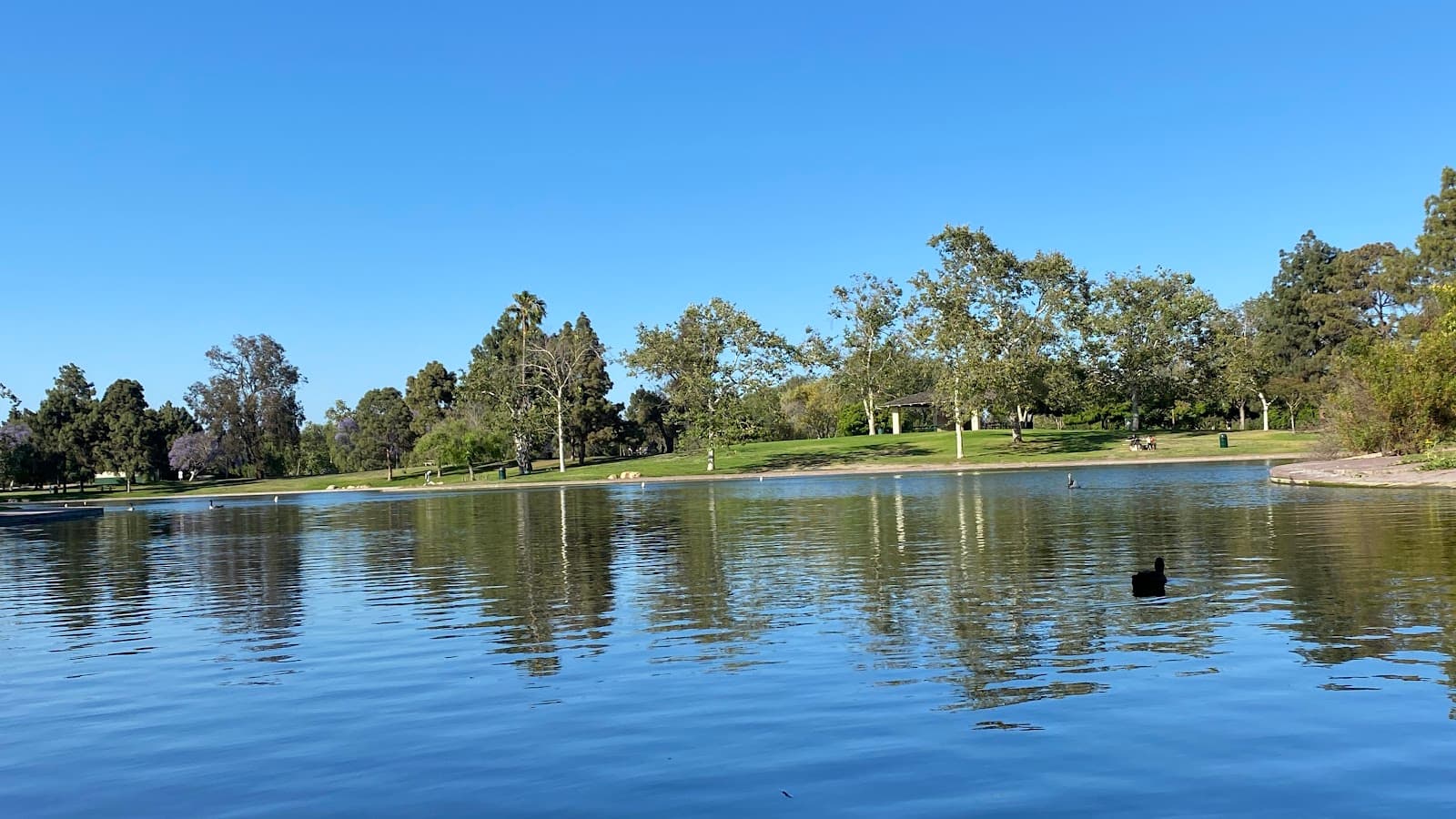El Dorado East Regional Park Long Beach - Image 1