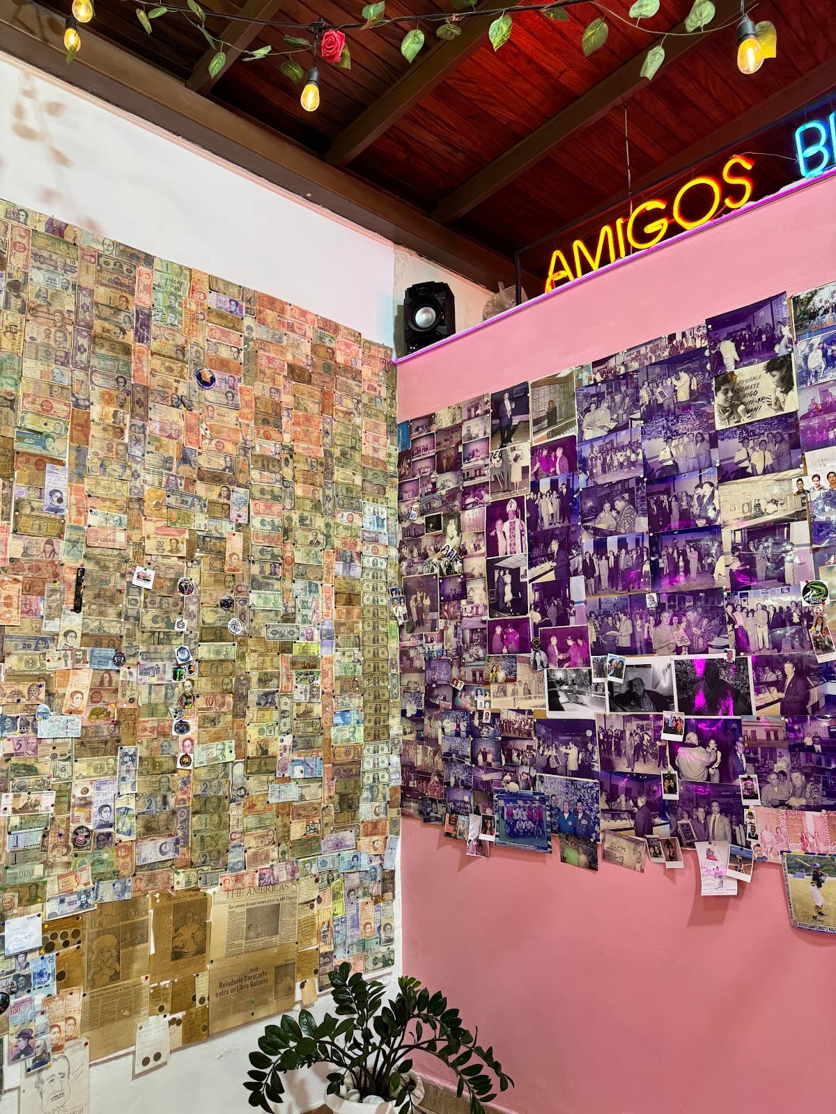 Heladería Coromoto - Image 1