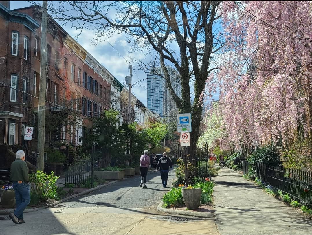 CitySeed Farmers Market