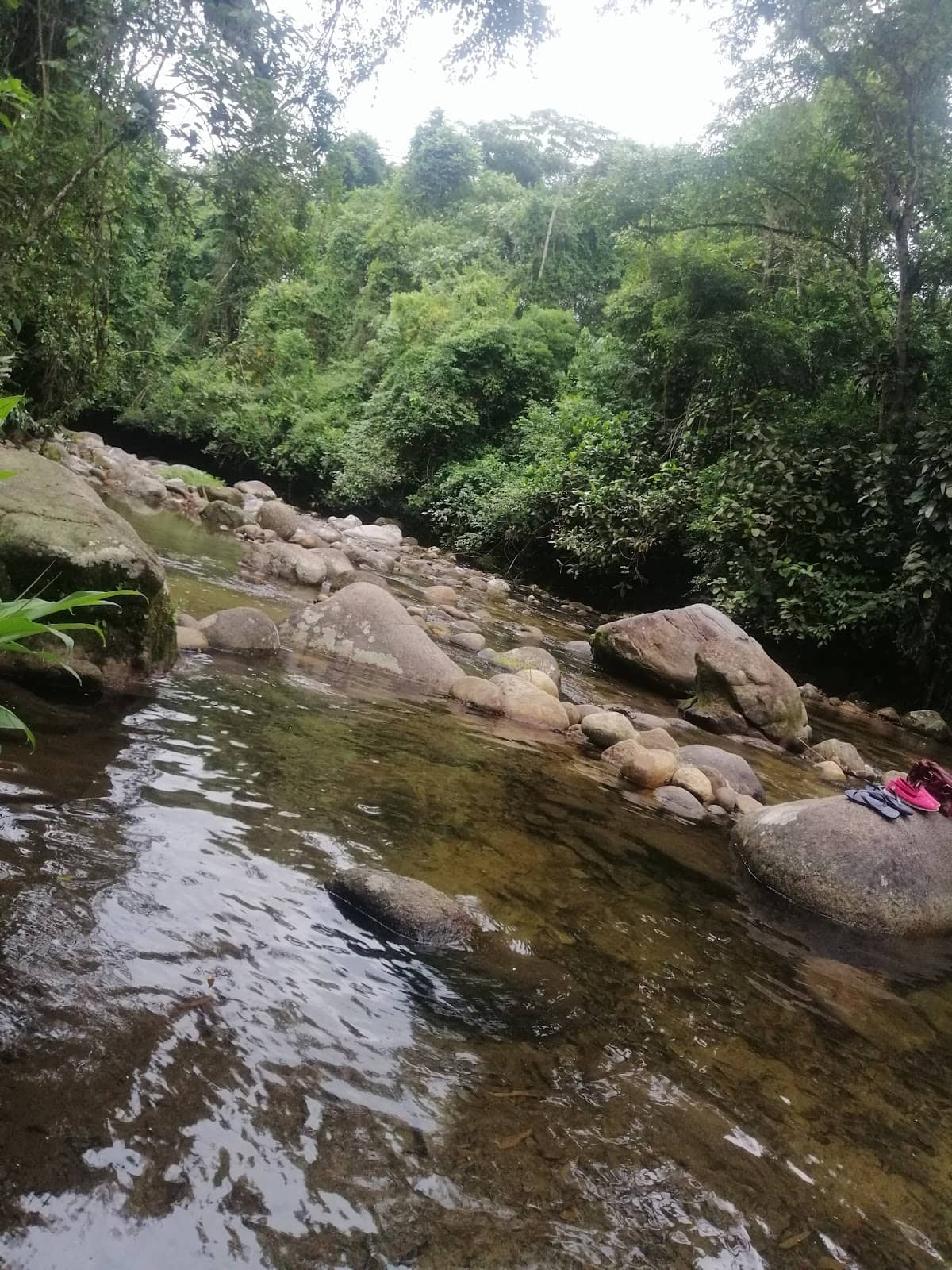 Vertical photo