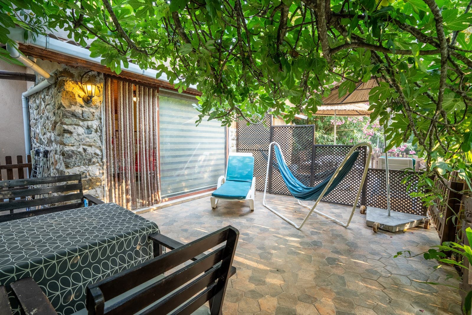 Bördübet Amazon Creek - Image 1