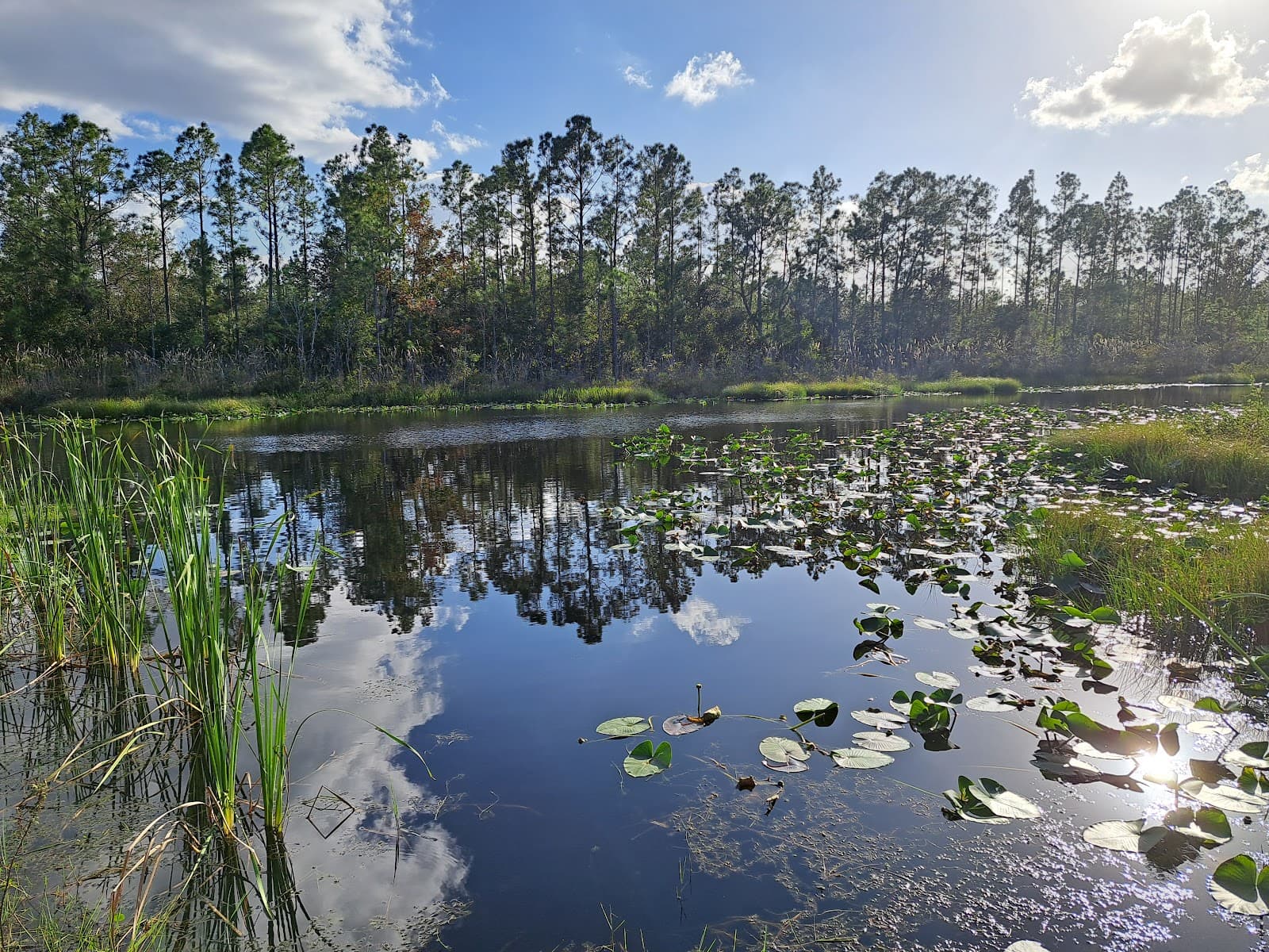Sun 'N Lake Preserve - Image 1
