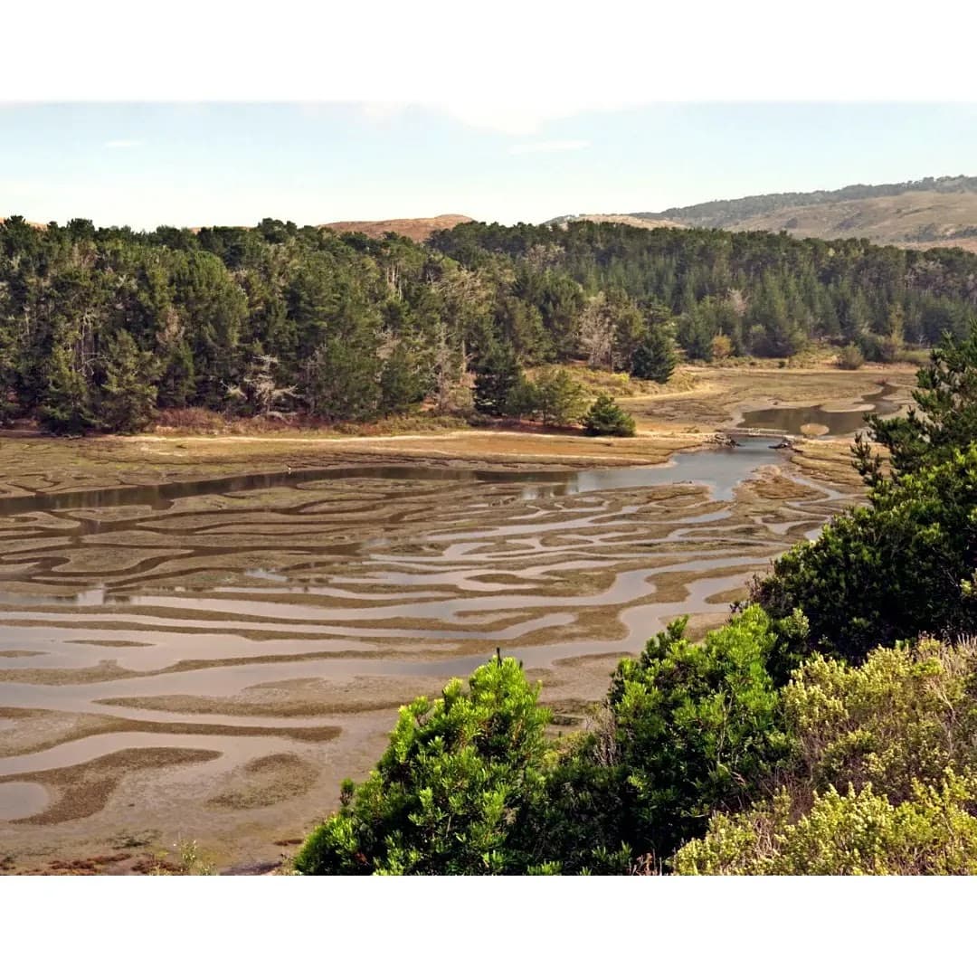 Drakes Head - Image 1