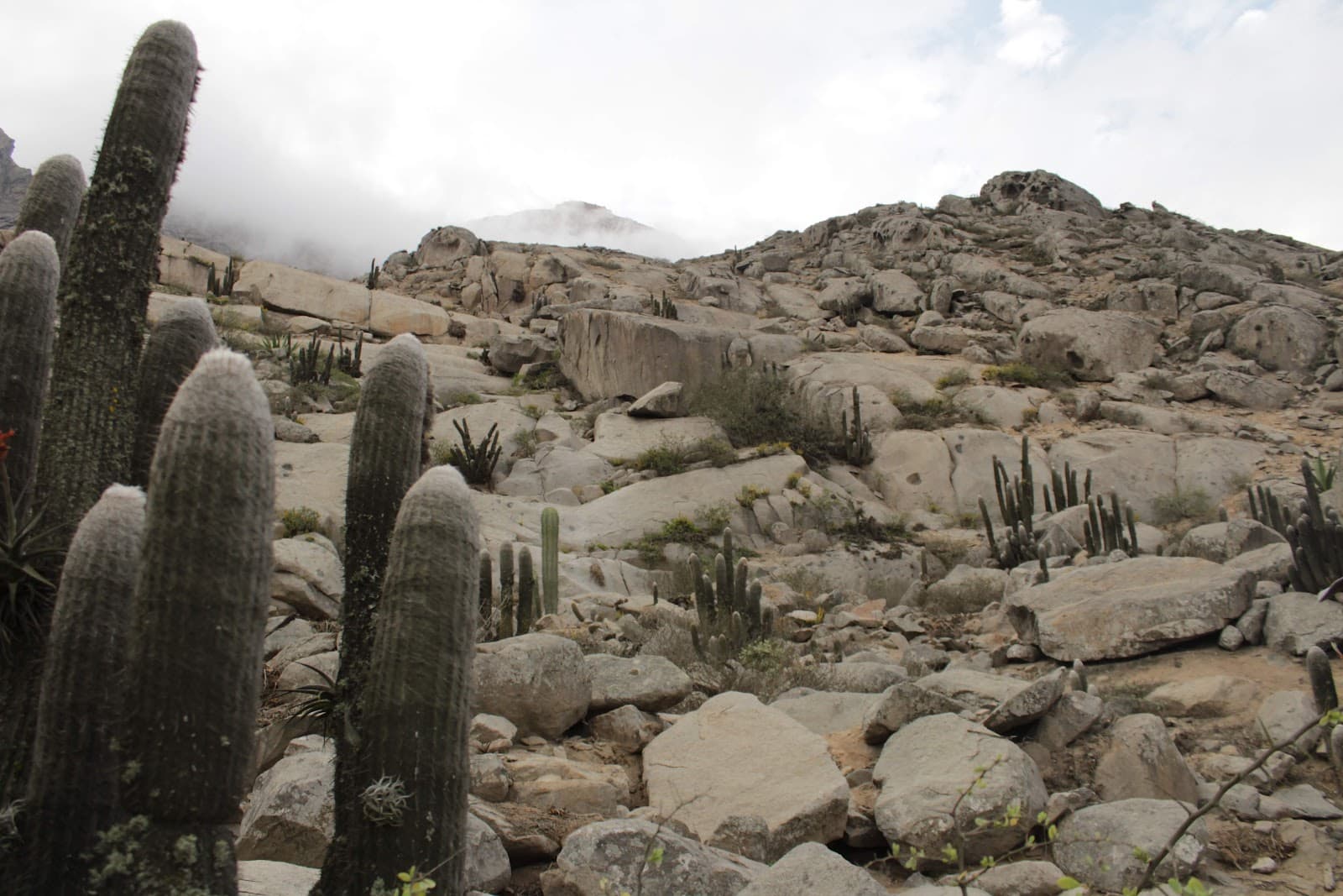Cerro Campana Panama - Image 1