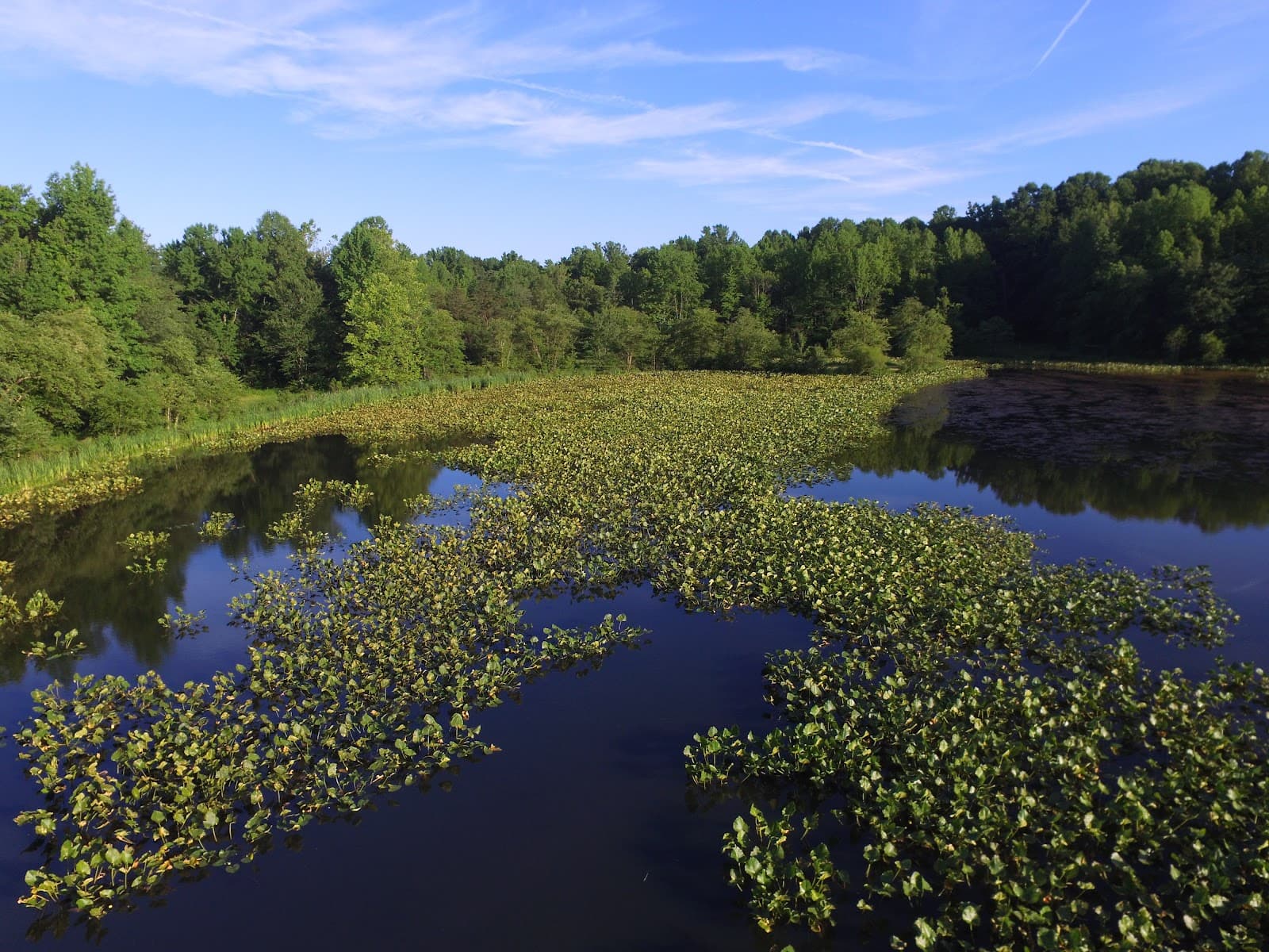 Governor Bridge Natural Area - Image 1