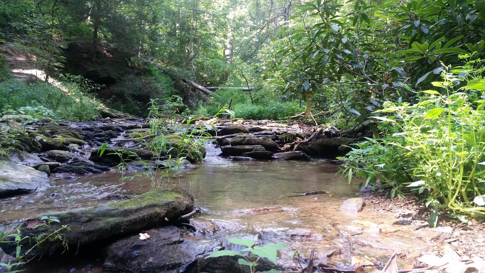 Kellys Run Nature Preserve - Image 1