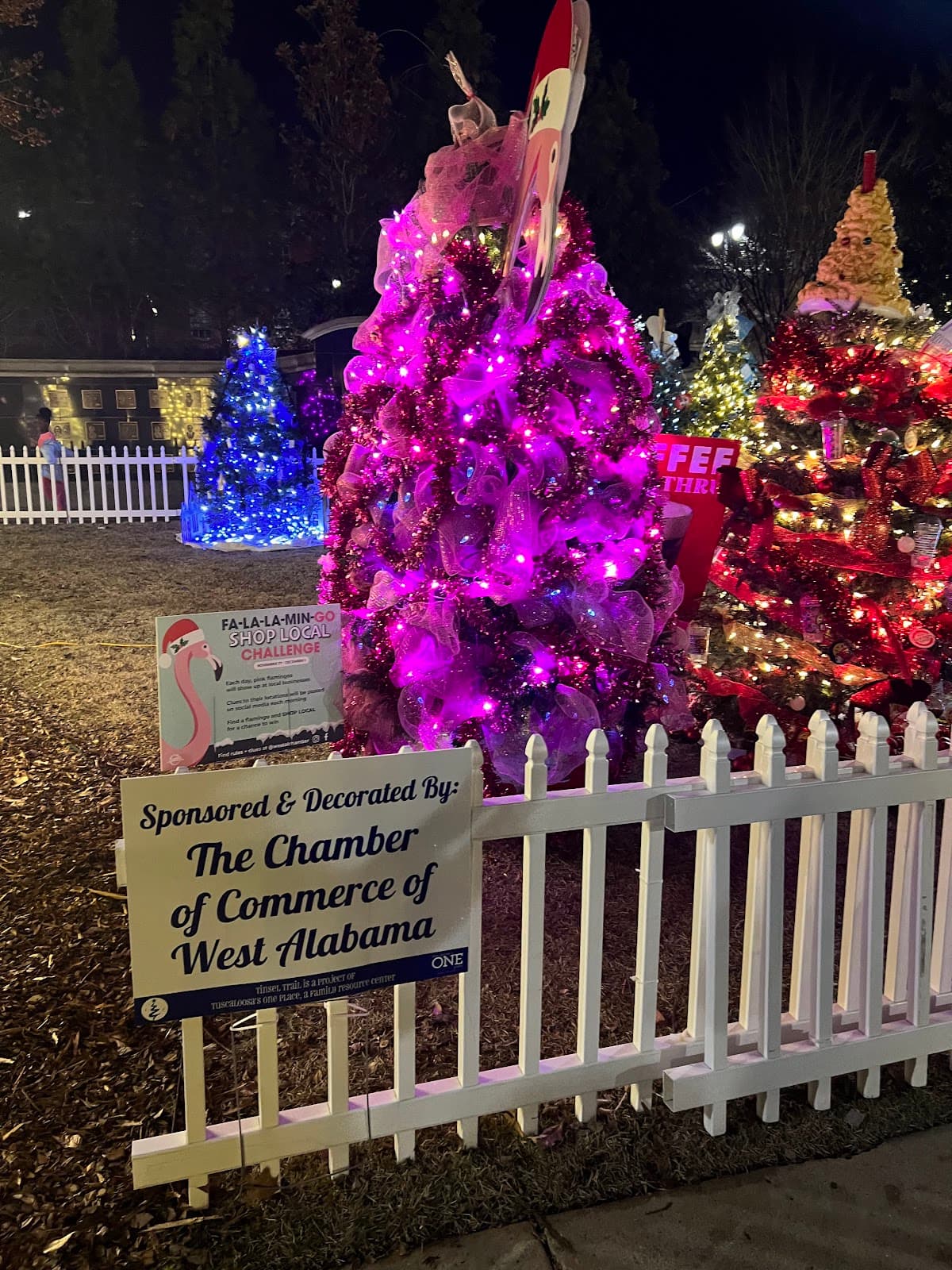 Government Plaza (Tuscaloosa) - Image 1