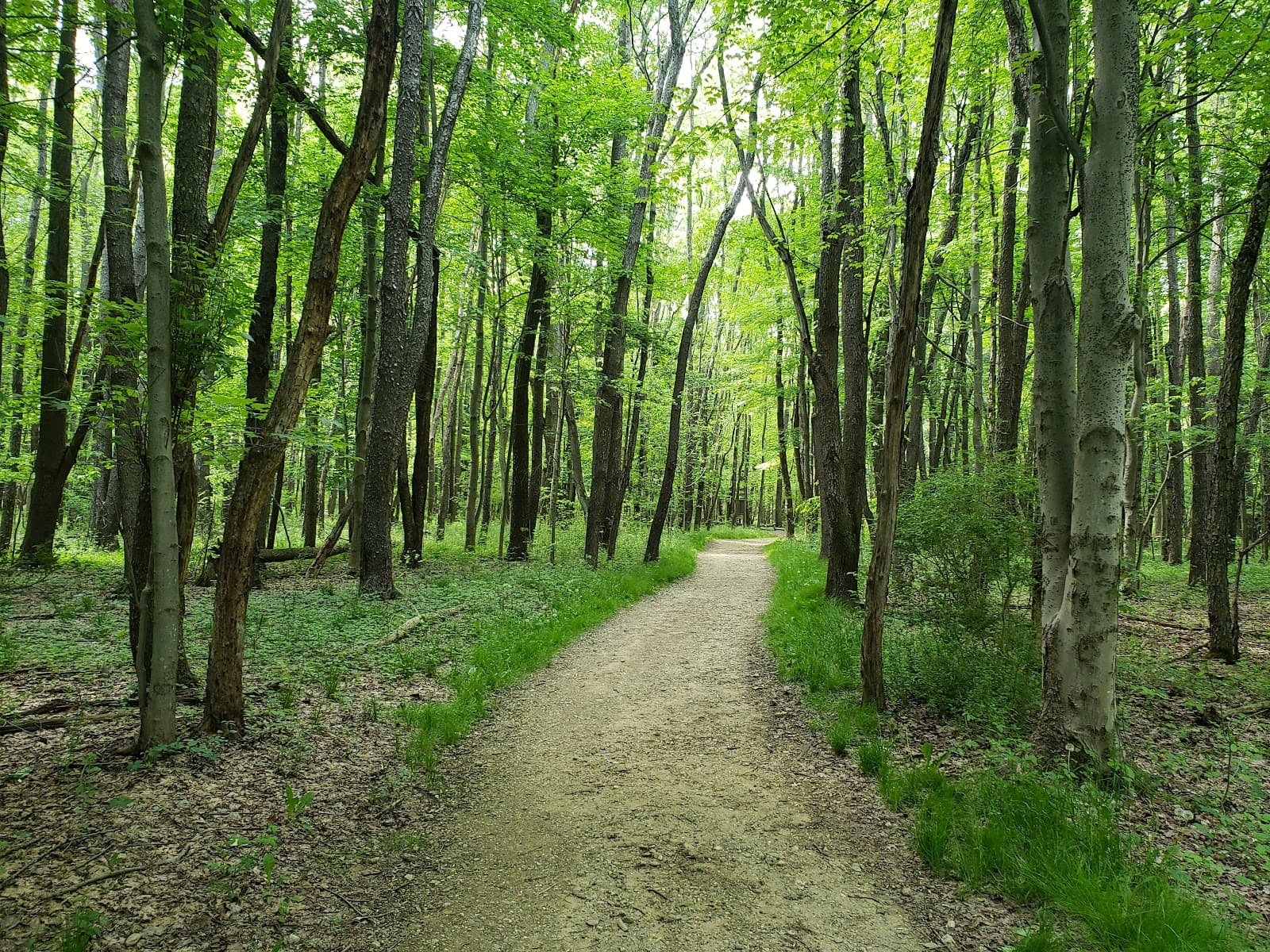 Goodyear Heights Metro Park - Image 1