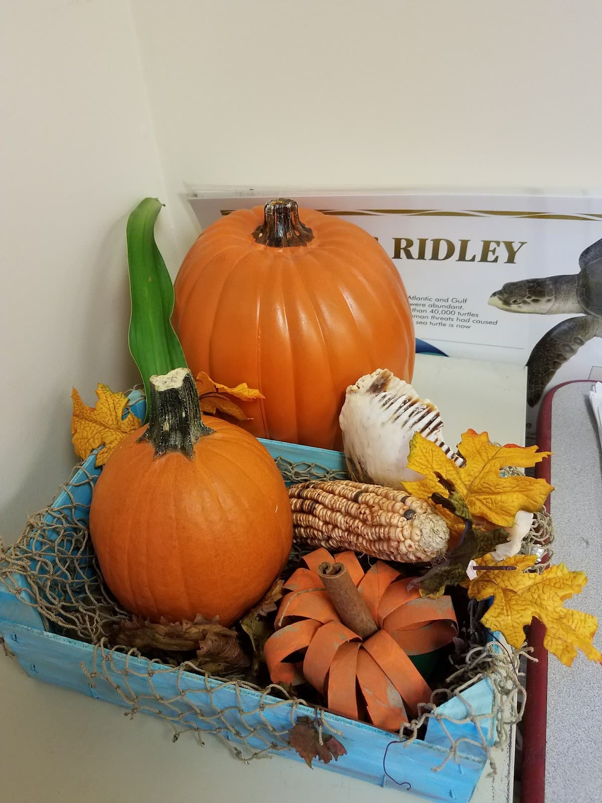 Rhoda L. Martin Cultural Heritage Center - Image 1