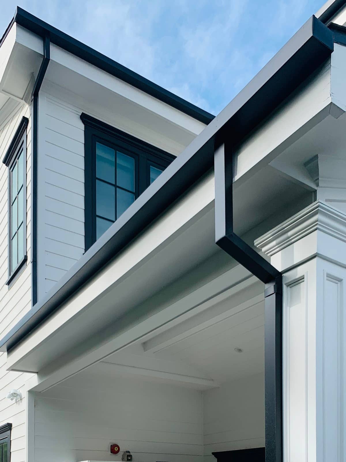 Professional Gutter Cleaning