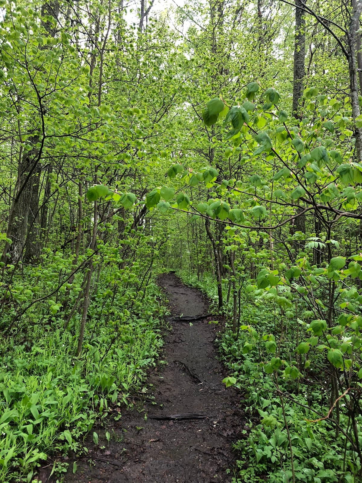 Ekudden Nature Trail - Image 1