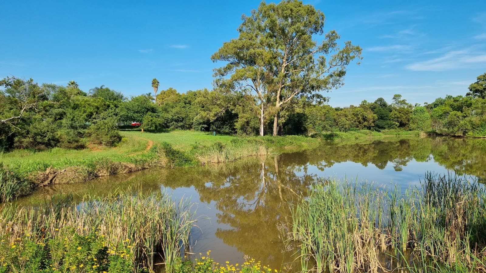 Struben Dam Bird Sanctuary - Image 1