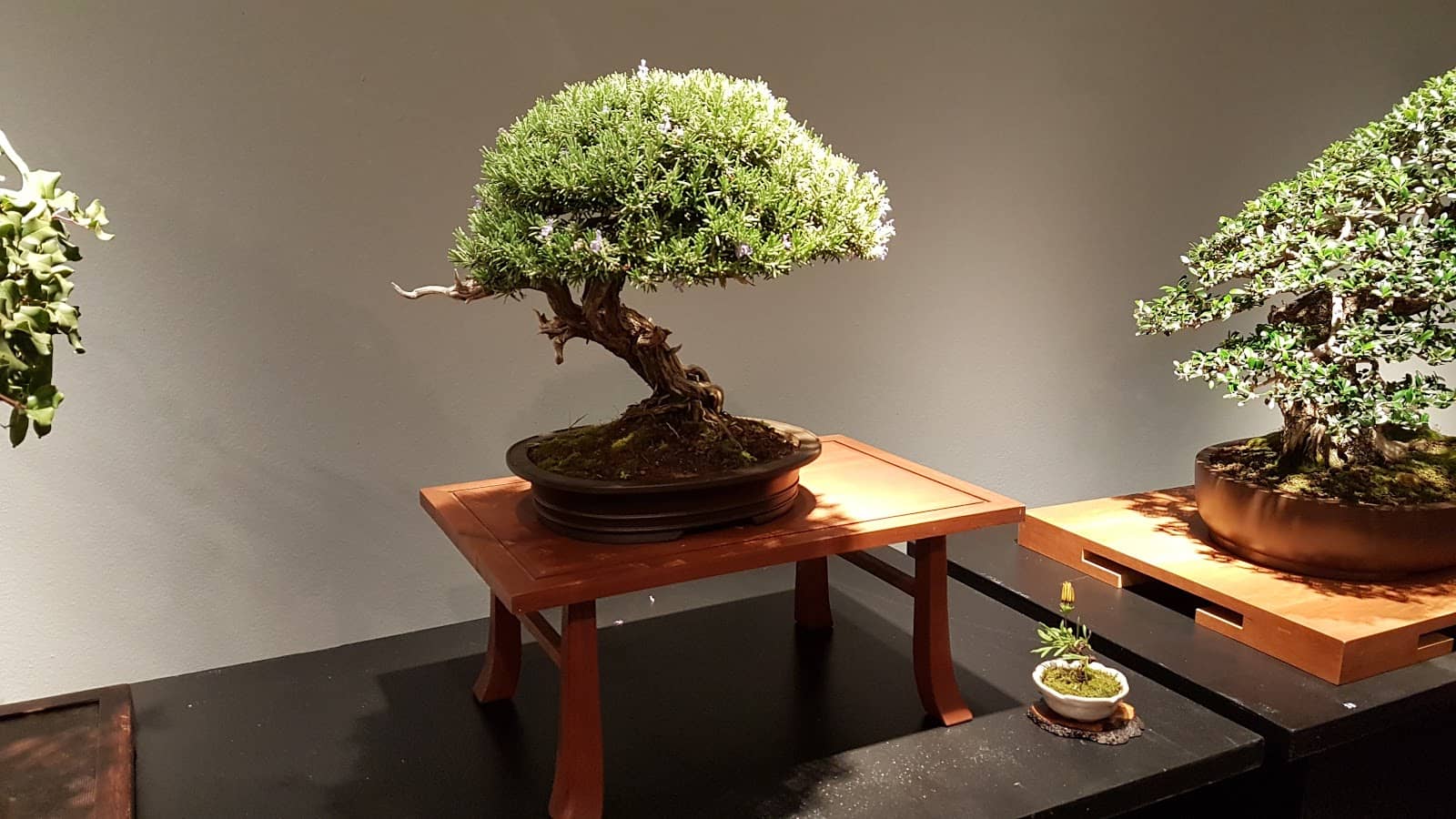 Architectural Interest