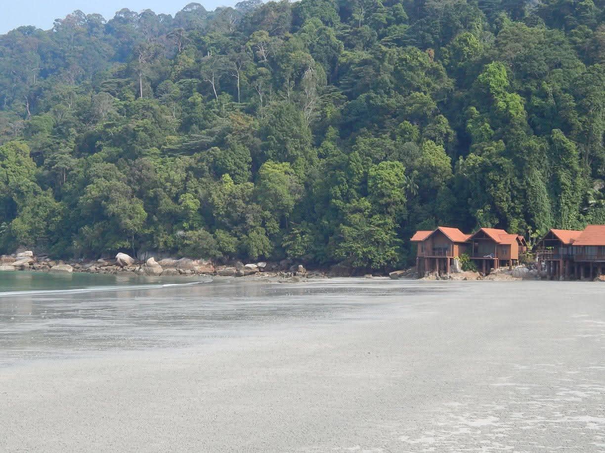 Secluded and Private Ambiance