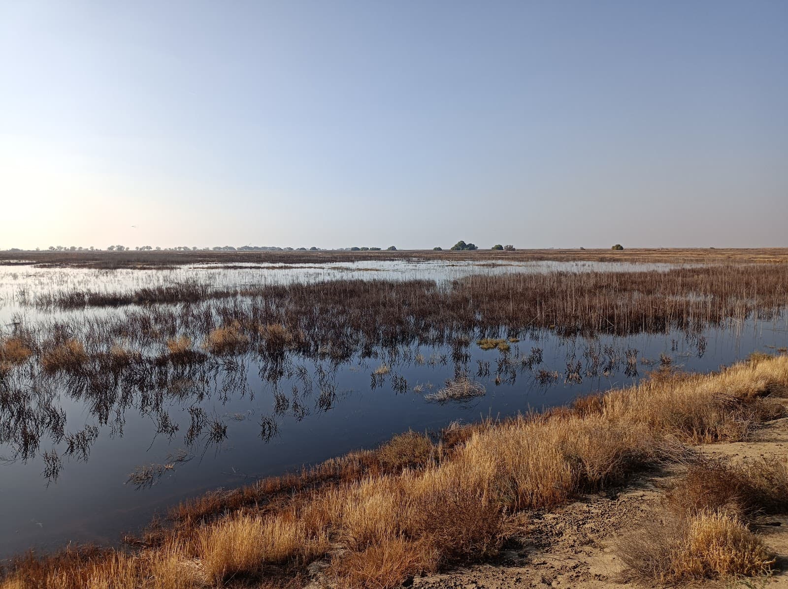 Kern National Wildlife Refuge - Image 1