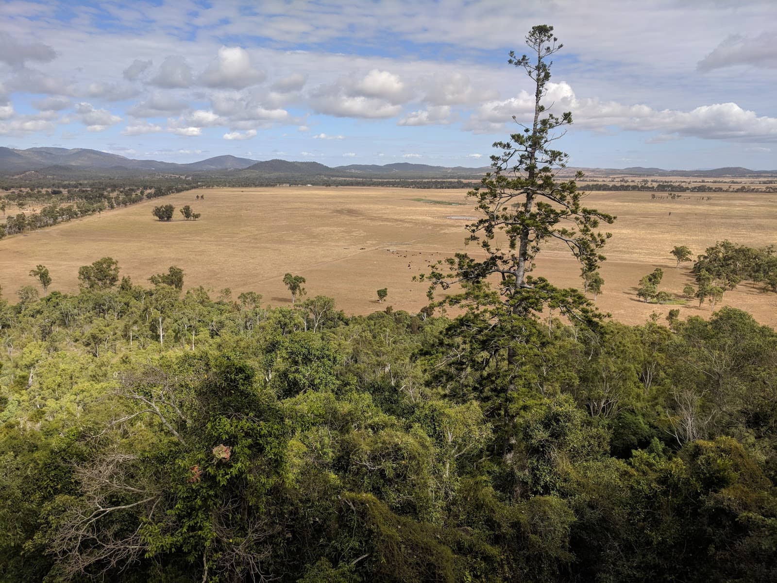 Abundant Wildlife Sightings
