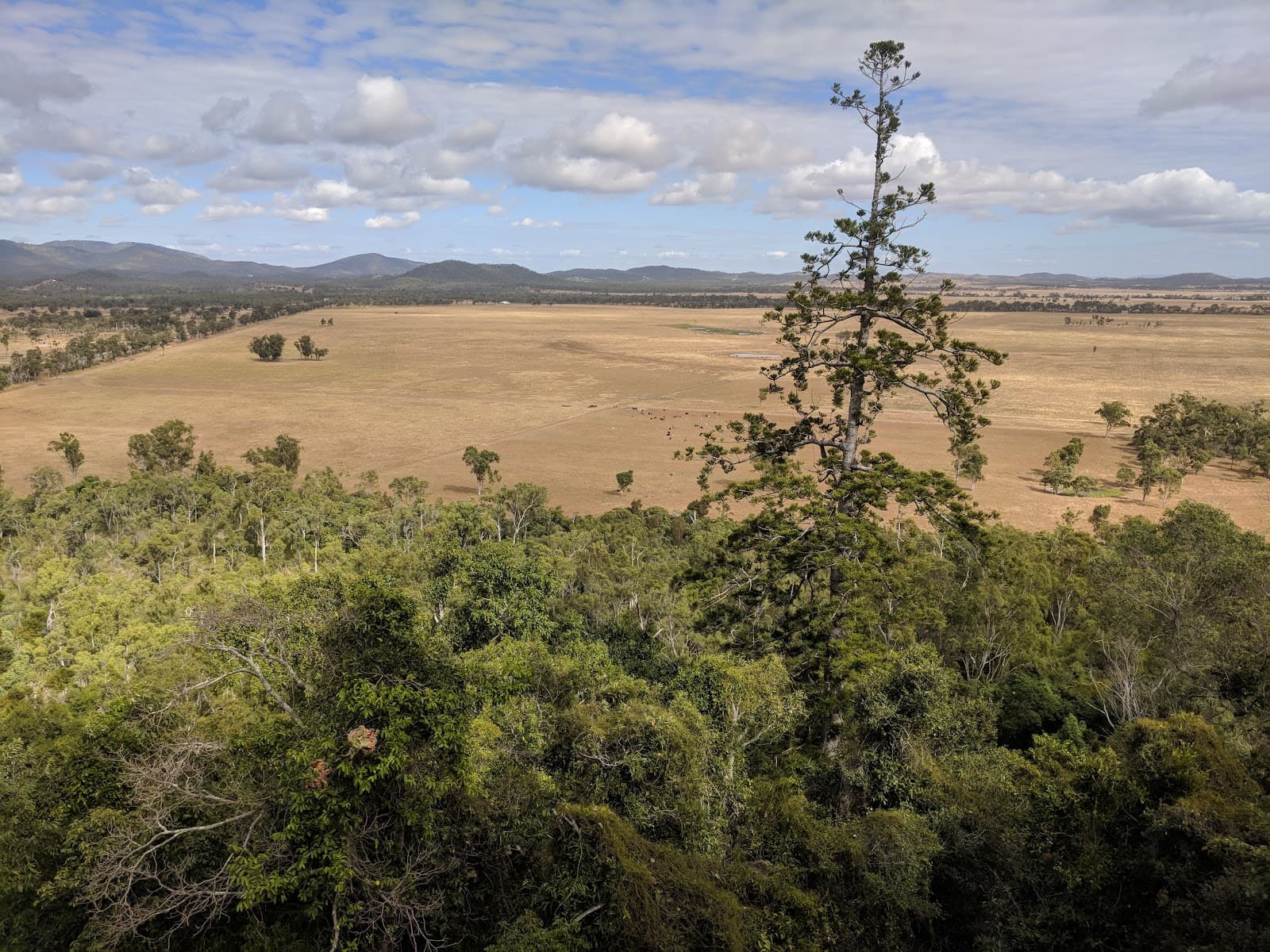Baga National Park (Mount Jim Crow) - Image 1