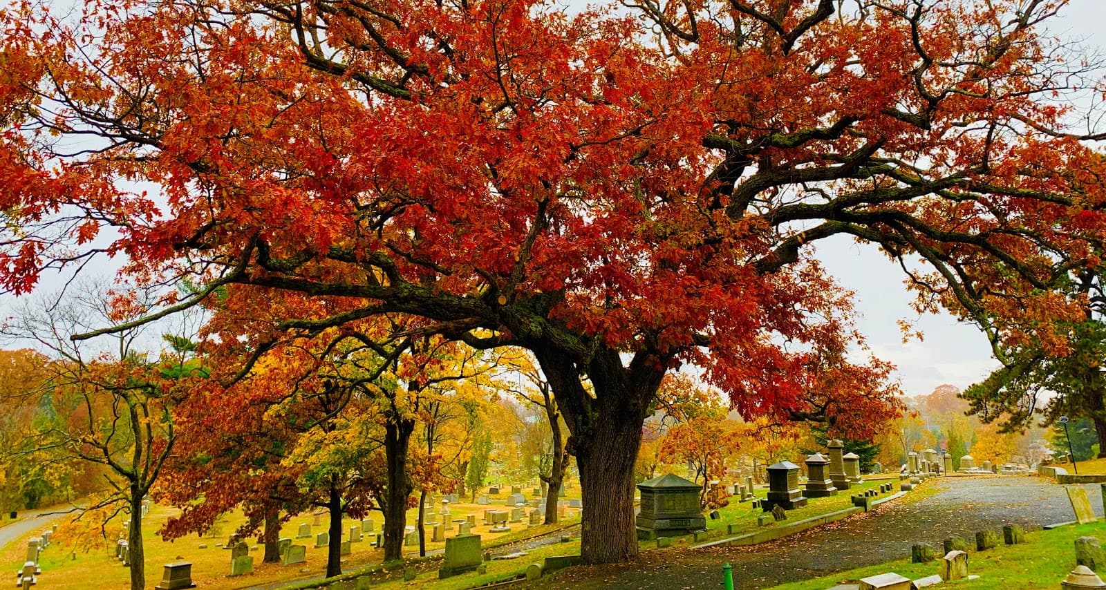 North Burial Ground - Image 1