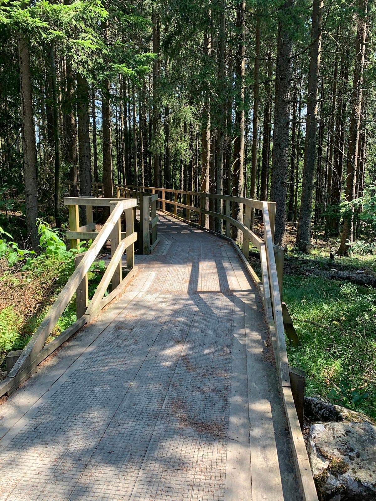 Rya Åsar Nature Reserve - Image 1