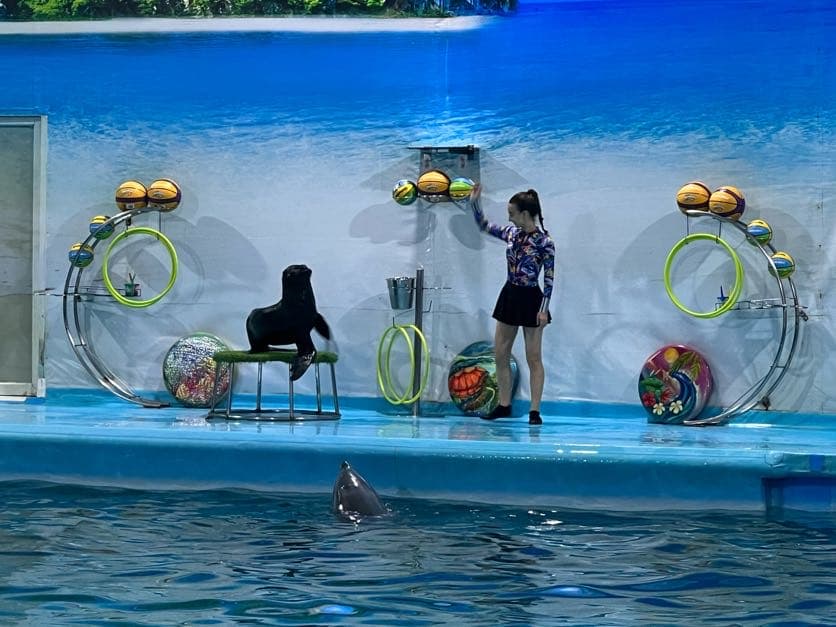 Phuket Water Sports Center - Image 1