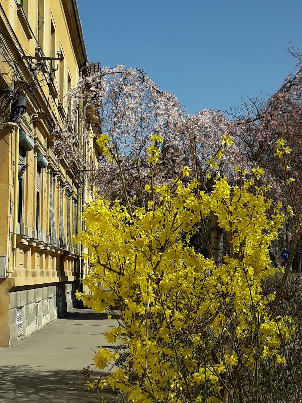 Elisabetin District Timișoara - Image 1