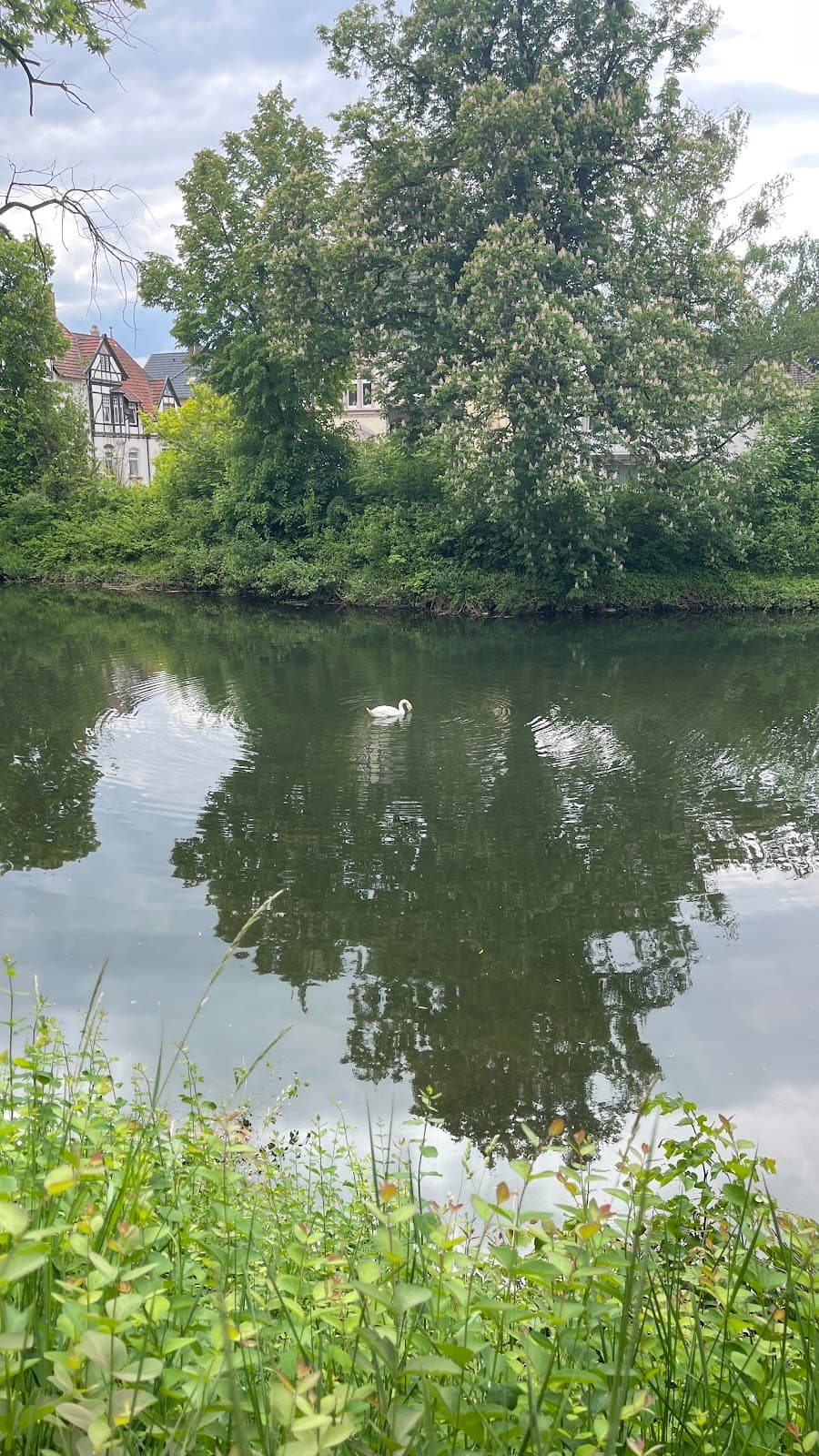 Wallanlagen Park (City Ramparts) - Image 1